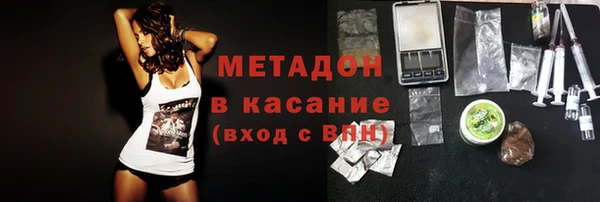 PSILOCYBIN Аркадак