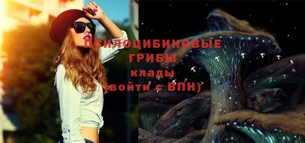 PSILOCYBIN Аркадак