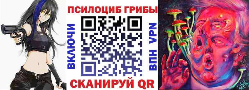 Псилоцибиновые грибы Psilocybine cubensis  Бодайбо 